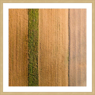 "Seeded Land" Framed Print by Karolis Janulis