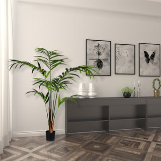 Photographed in a real room setting, plant in a home environment, lifestyle context.