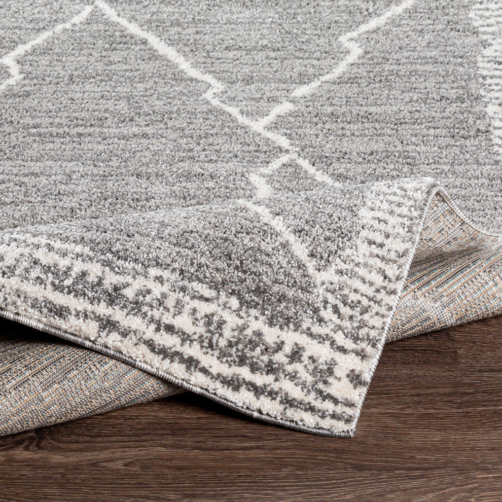 Surya Andorra ARD-2309 5'3" x 7'3" Rug
