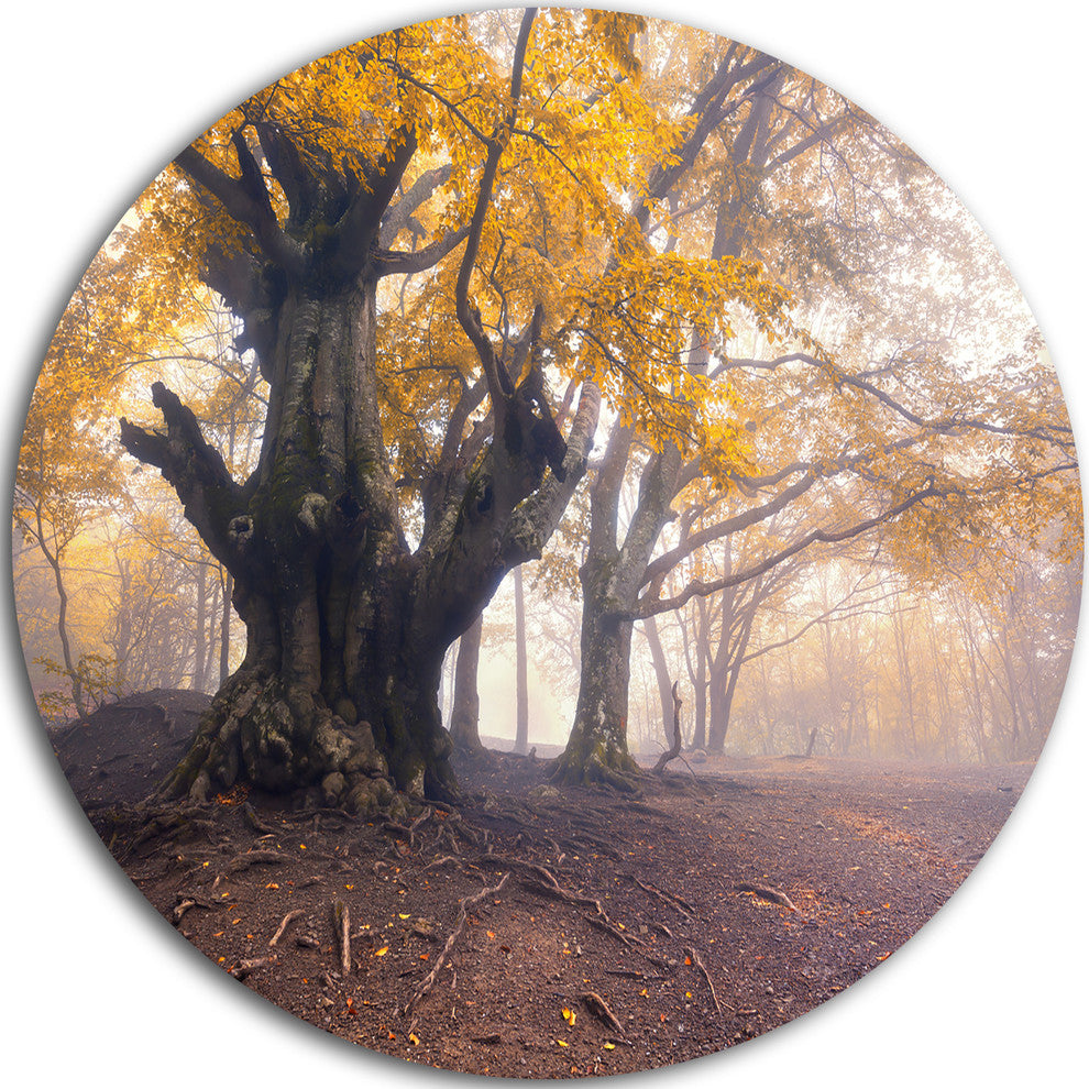 Dark Tree With Yellow Leaves, Landscape Photo Round Metal Wall Art, 11"