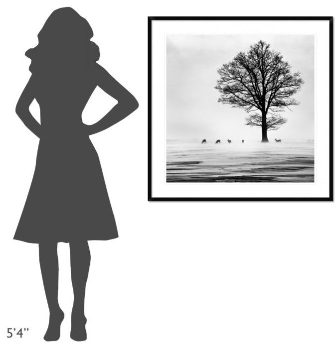 "Roes" Framed Digital Print by Dansiga, 38"x38"