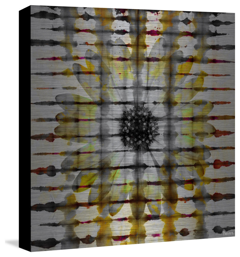 "Daisy Window" UV Ink Print on Brushed  Aluminum, 32"x32"