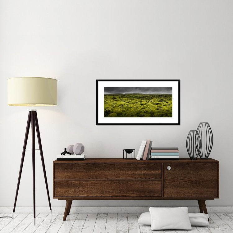 "Islandmoos I" Framed Digital Print by Franz Schumacher, 44x24"
