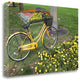 "Japan Bicycle - 1" By Alan Blaustein, Giclee Print on Gallery Wrap Canvas