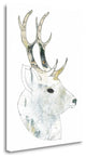 "Golden Buck" By Sarah Ogren, Giclee Print on Gallery Wrap Canvas, Ready to Hang