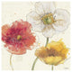 "Painted Poppies IV" Digital Paper Print by Katie Pertiet, 20"x20"