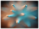 Blue Macro Prickly Texture, Abstract Canvas Wall Art, 40"x30"
