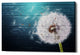 Epic Graffiti "Wood Series: Dandi Blue" Giclee Canvas Wall Art, 26"x40"