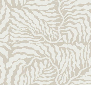 Fern Fronds Wallpaper