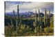 "Saguaro Cacti And Santa Catalina Mountains, Arizona" Artwork, 40" x 30"