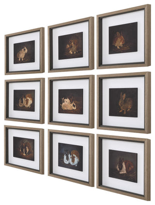 Uttermost 32386 Resting Bunny 16" x 18" Framed Animals Graphic - Multicolored