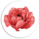 Beautiful Plant Paeonia Arborea, Modern Floral Round Wall Art, 11"
