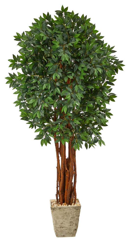 6' Lychee Artificial Tree, Country White Planter