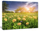 Blossom Dandelions in Green Garden, Large Landscape Canvas Art Print, 20"x12"