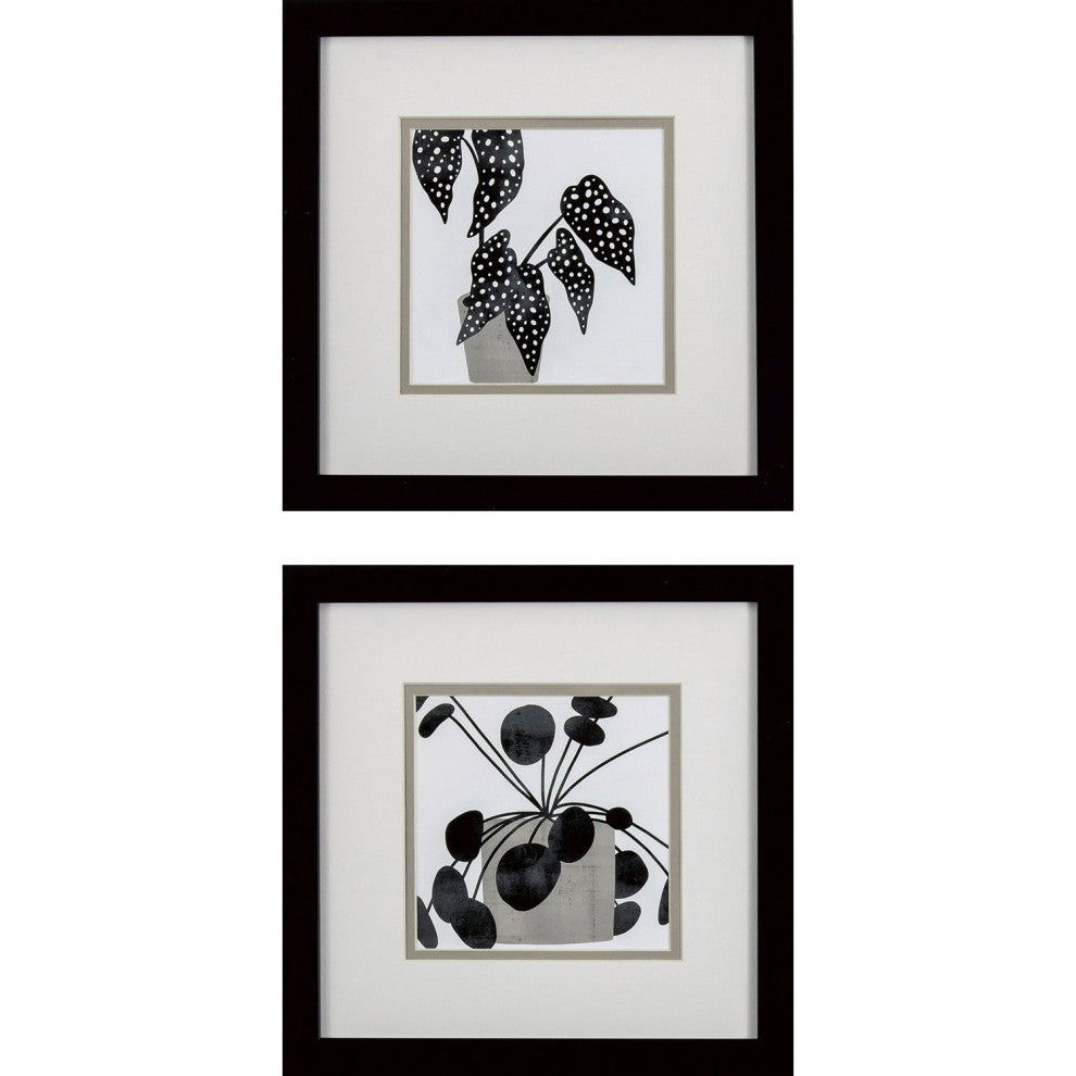 Plantling B Framed Art, 2-Piece Set