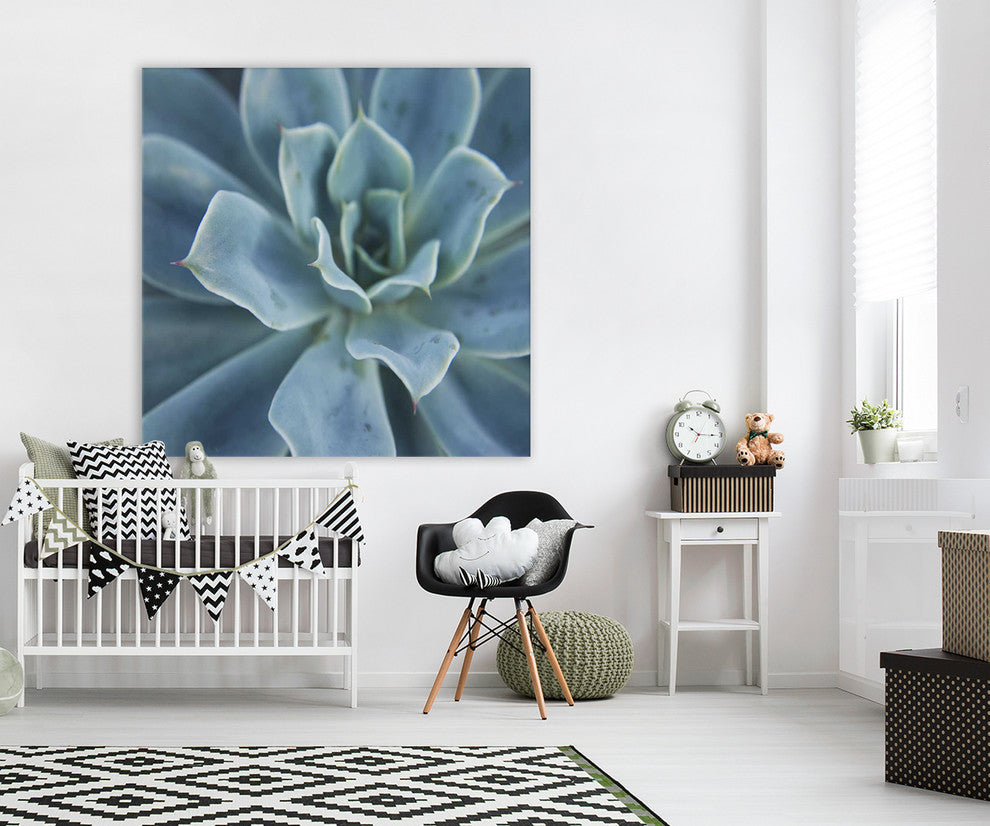 "Sweet Succulent" Fine Art Canvas Print, 54"x54"