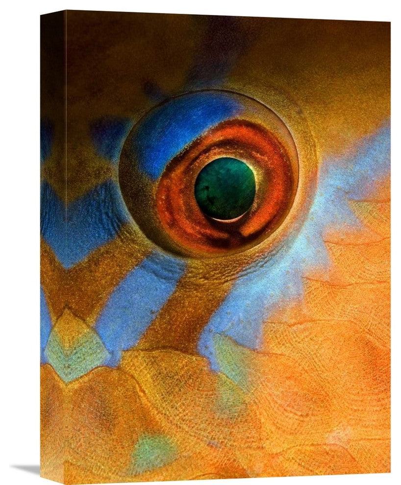 "Makeup" Stretched Canvas Giclee by Andrey Narchuk, 11x16"