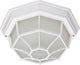 1-Light 12 Spider Cage Ceiling, White