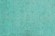 Overdyed Aida Teal Green Rug, 8''8x11''7
