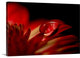 "Red Drop" Wrapped Canvas Art Print, 48"x32"x1.5"