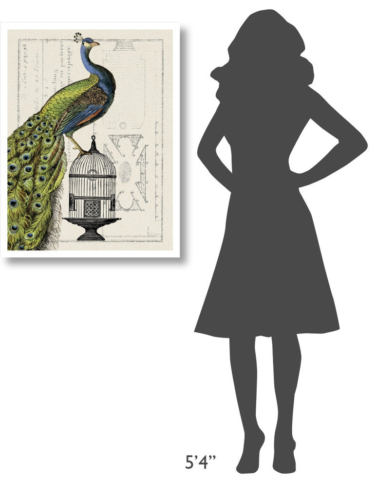 "Peacock Birdcage I" Digital Paper Print by Sue Schlabach, 26"x34"