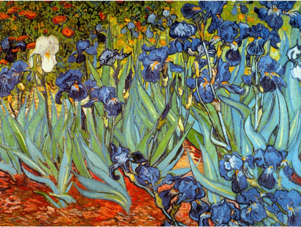 Irises by Van Gogh Wall Art