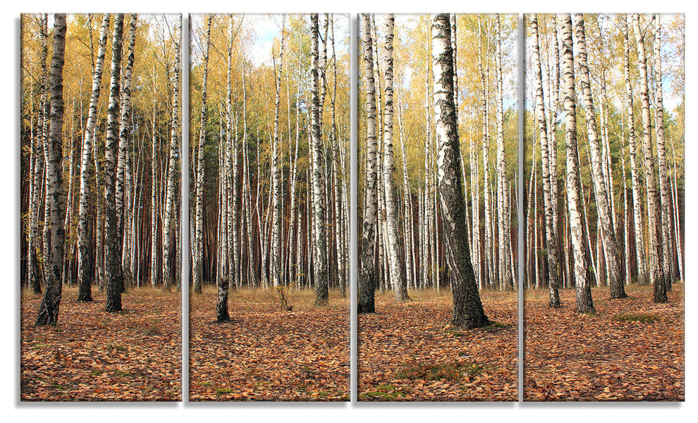 Beautiful Birch Forest Photography, Modern Forest Canvas Art, 48"x28", 4 Panels