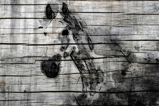 "Elegant Horse" Painting Print on Wrapped Canvas