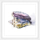 "Tidal Conch" Framed Print by Rachel Byler
