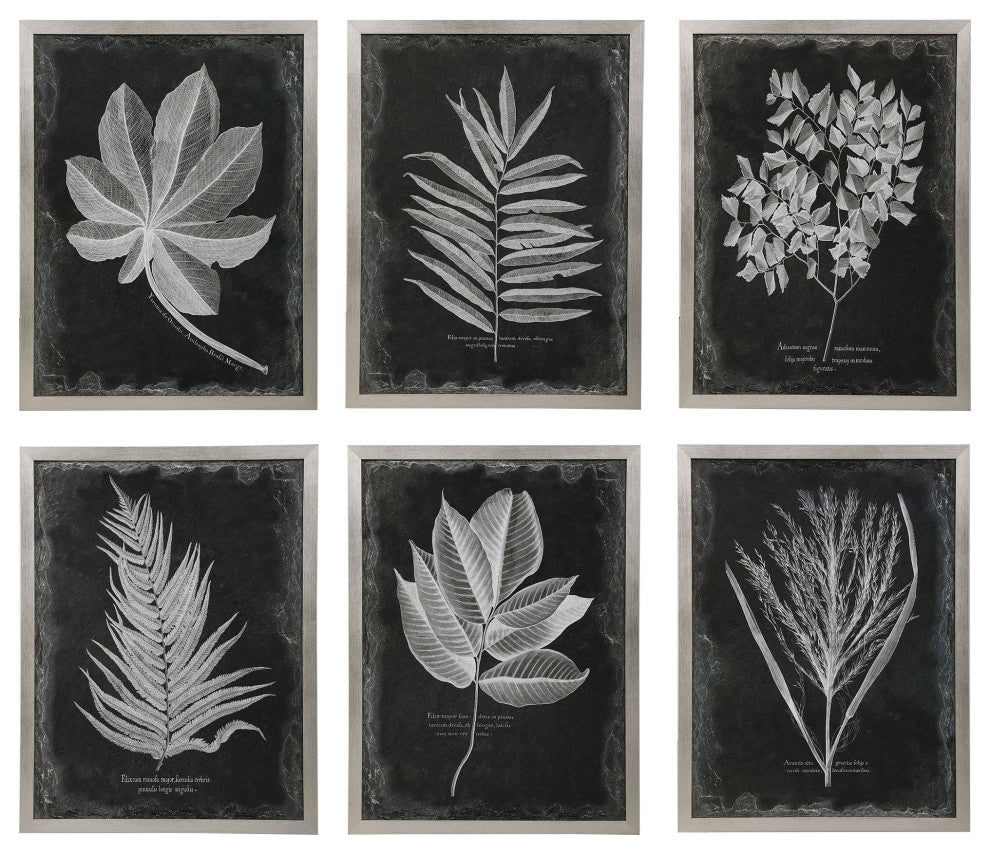 Uttermost Foliage Framed Prints, Set of 6
