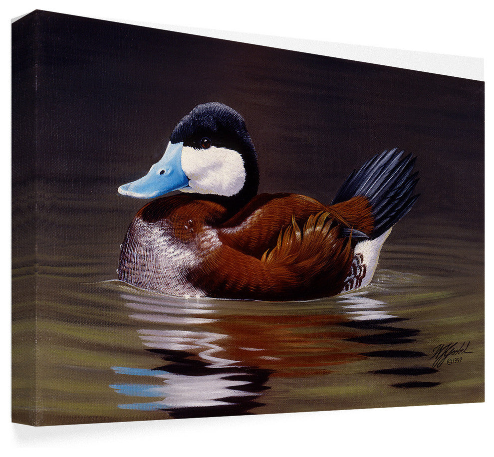 Wilhelm Goebel 'Ruddy Duck' Canvas Art, 32"x22"