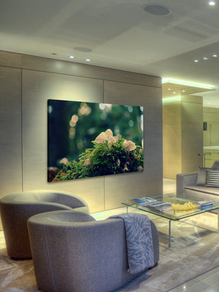 "Nonsense" Painting Print on Wrapped Canvas