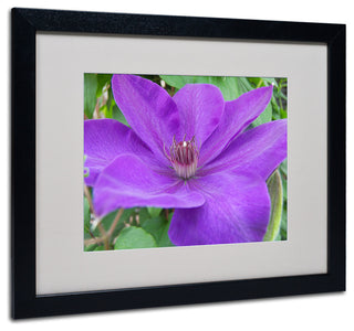 'Purple Flower' Matted Framed Canvas Art by Monica Fleet