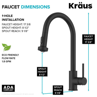 Bolden 2-Function Pull-Down 1-Handle Kitchen Faucet, Matte Black