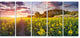 Fantastic Yellow Field at Sunset, Landscape Canvas Print, 60"x28", 5 Panels