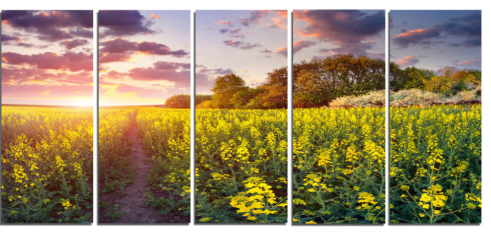 Fantastic Yellow Field at Sunset, Landscape Canvas Print, 60"x28", 5 Panels