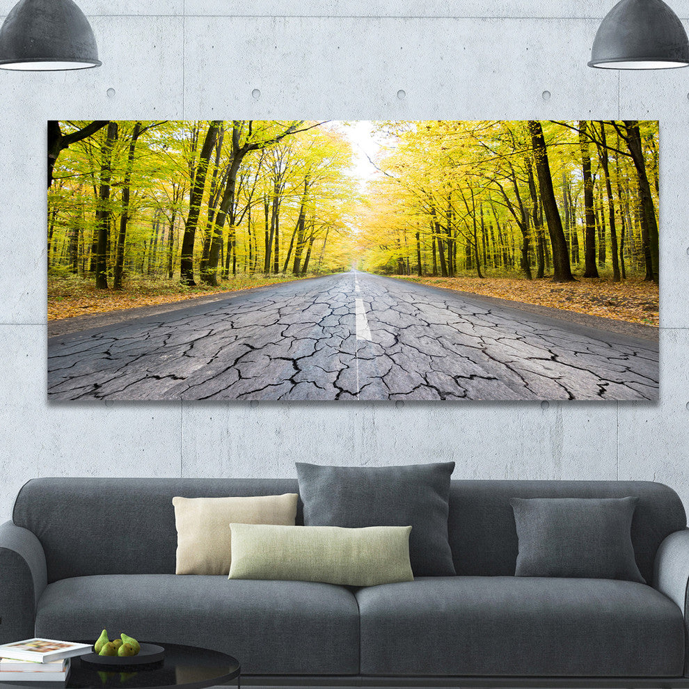 Cracked Road in the Forest, Large landscape Canvas Art Print, 60"x28"