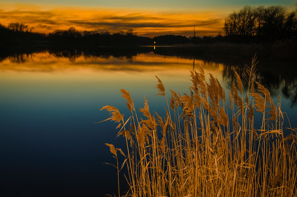 Rustic Canvas Wall Art: Sunset Reedy Point Landscape Print, 24" X 36"