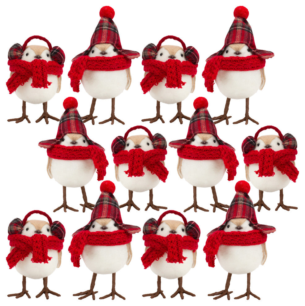 Bird With Scarf and Hat, 12-Piece Set