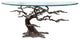 Cypress Tree Coffee Table