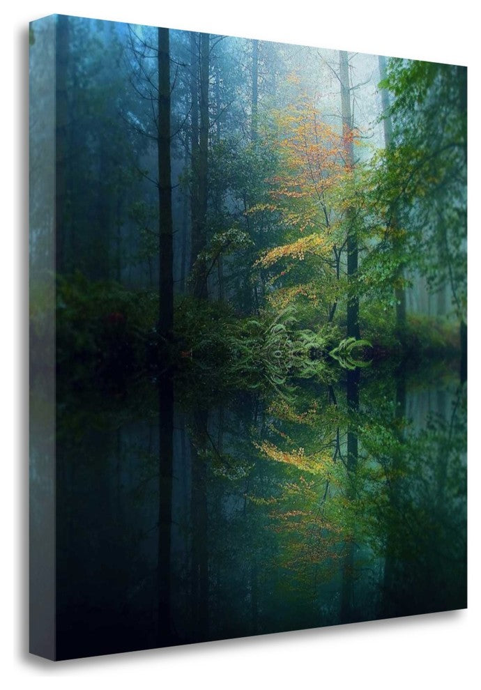 "The Forest" By Adelino Goncalves, Giclee Print on Gallery Wrap Canvas
