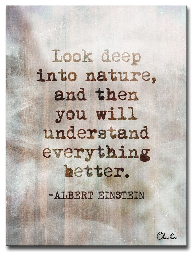 Einstein Quote' Inspirational Canvas Art by Olivia Rose