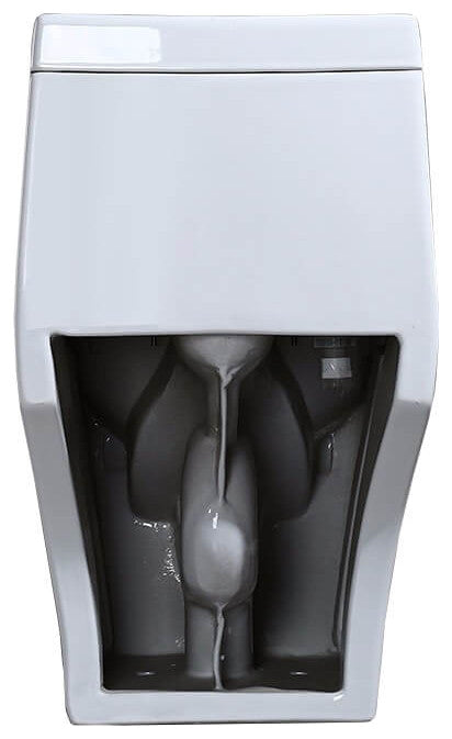 Fine Fixtures Modern Dual Flush Elongated One-Piece Toilet, Seat Included