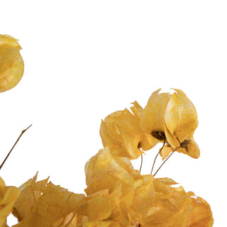 Vickerman Cara Blossom Spray