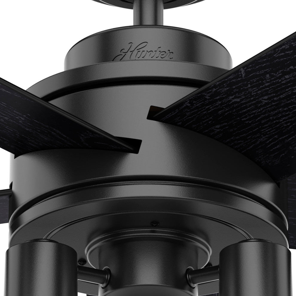 Hunter 44" Hardwick Matte Black Ceiling Fan With LED Light Kit and Remote