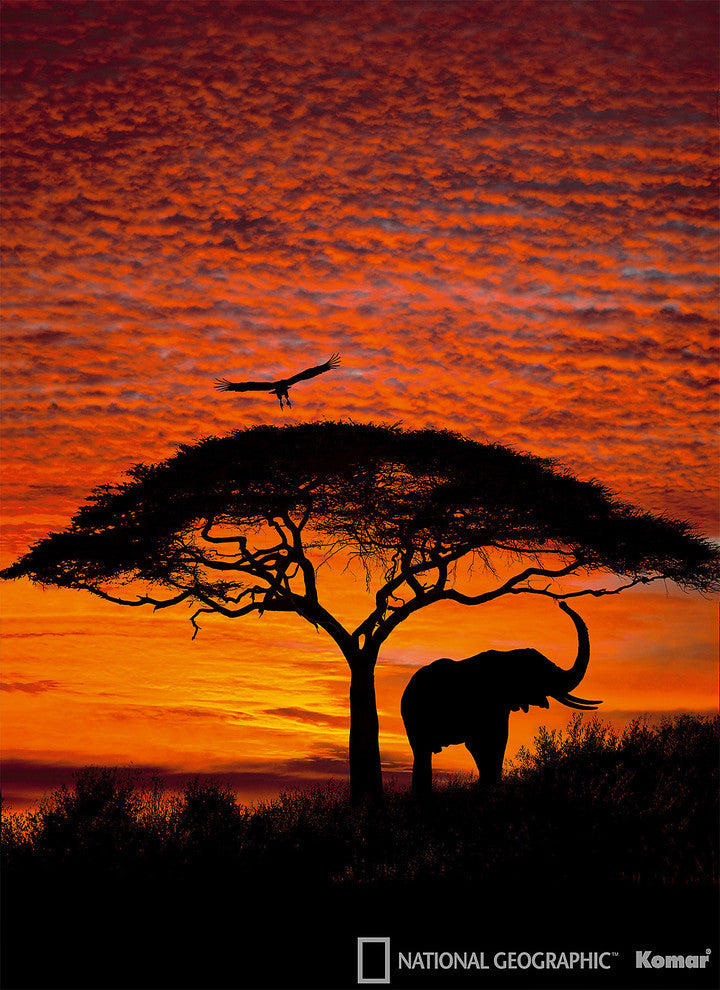 African Sunset Mural Wallpaper