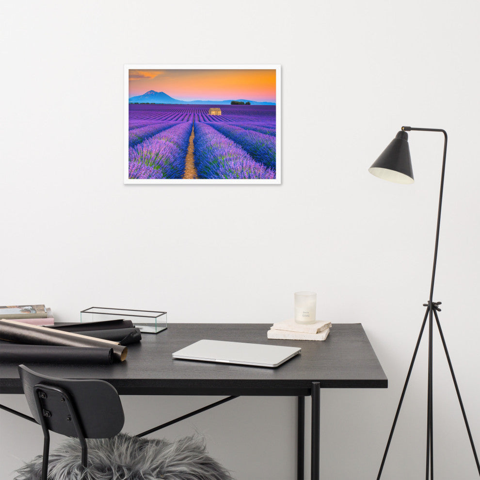 Blooming Lavender Field and Sunset Floral Landscape Framed Photo Wall Art Prints, White, 18" X 24"
