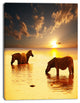 Zebras in Water At Sunset, African Canvas Art Print, 30"x40"