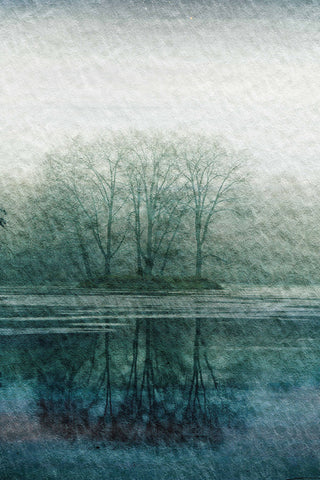 "Apple Lake" Artwork