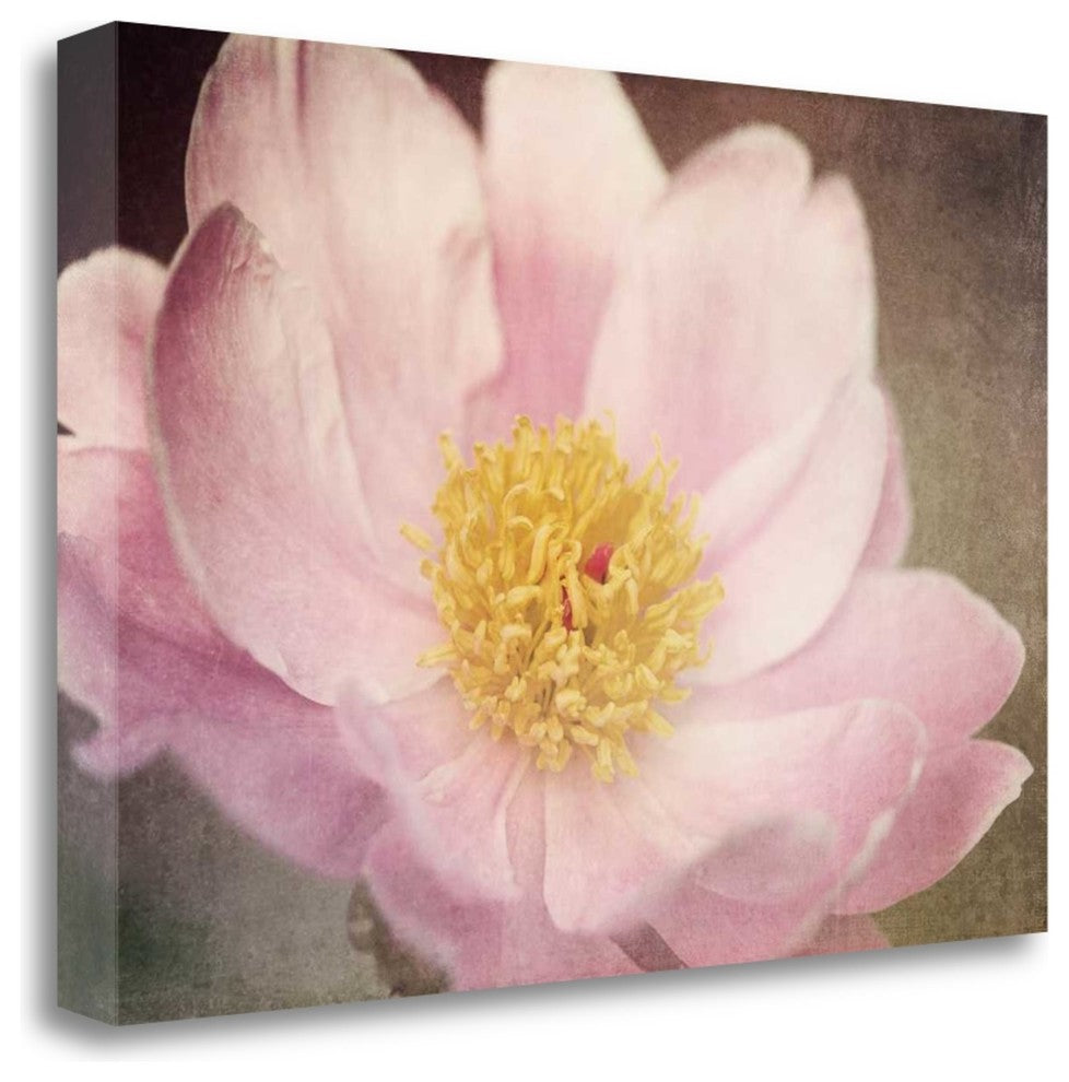 "Peony In The Park" By Dawn Leblanc, Giclee Print on Gallery Wrap Canvas